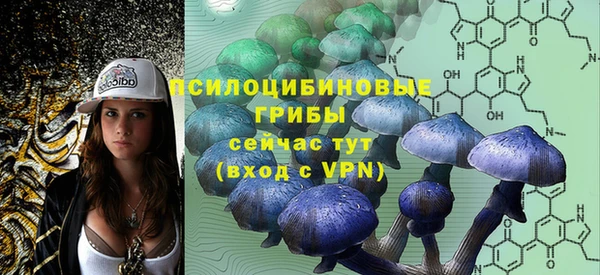 Альфа ПВП Алзамай