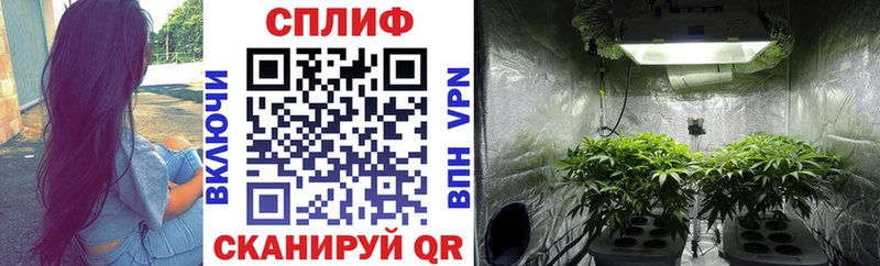 mega как войти  цена   Нерчинск  Бошки Шишки SATIVA & INDICA 